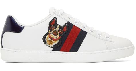 gucci sneaker dog|Gucci sneakers for men.